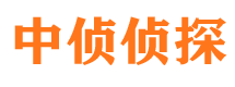 天全市调查公司